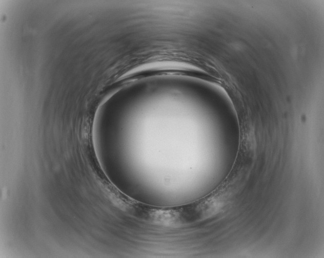 X0000086070277200703231315