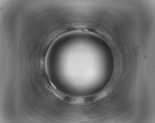 X0000086070288200703231315