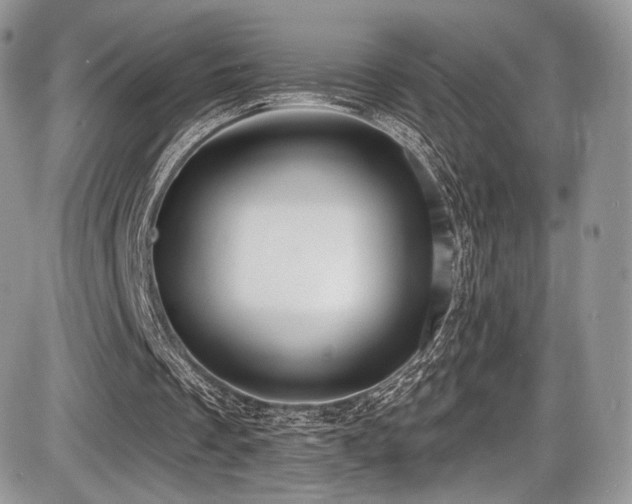 X0000086070289200703231314