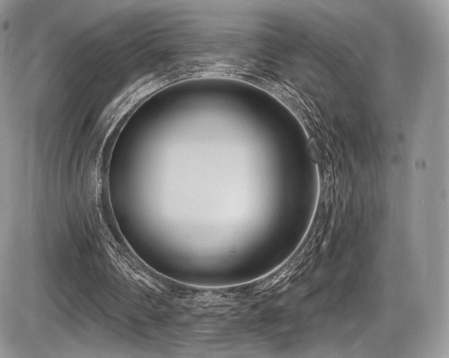 X0000086070290200703231314
