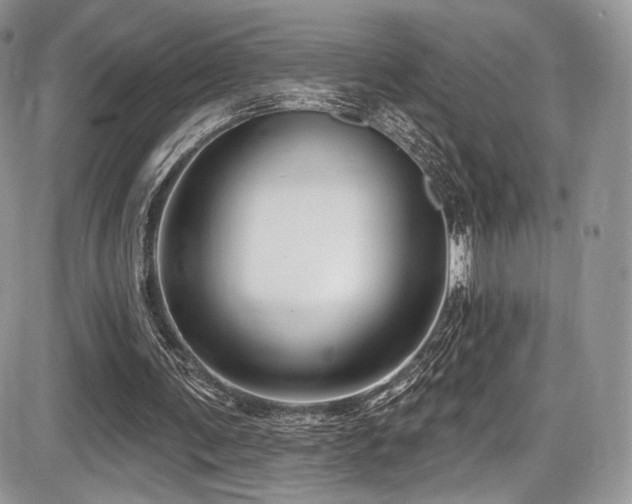 X0000086070291200703231314