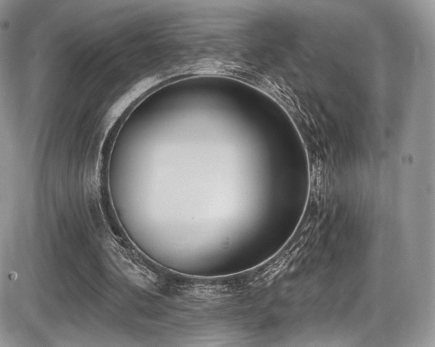 X0000086070292200703231314