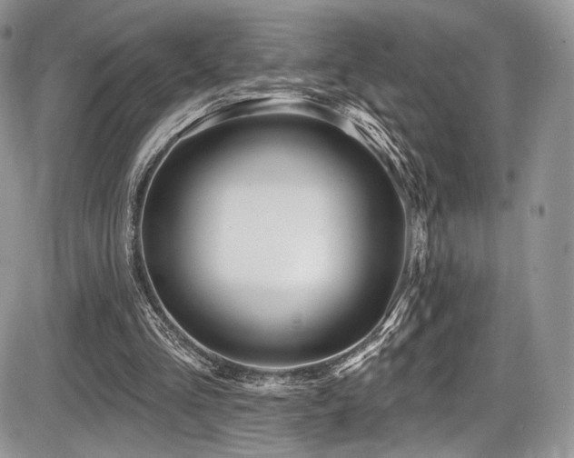 X0000086070293200703231314