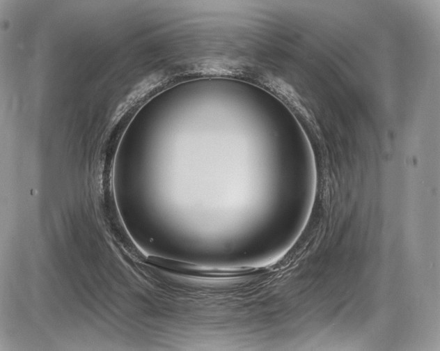 X0000086070299200703231314