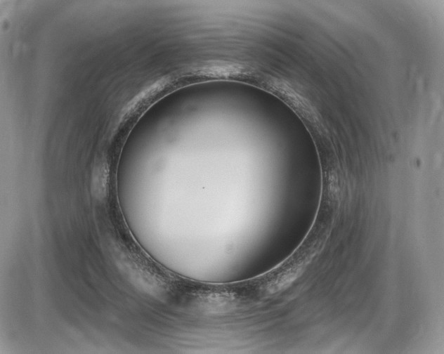 X0000086070304200703231314
