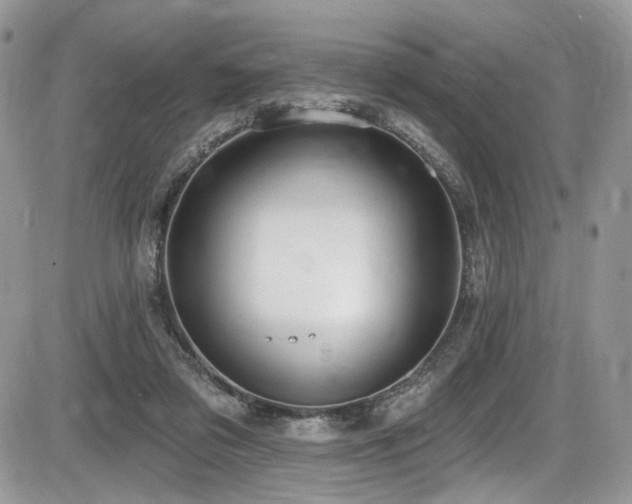 X0000086070309200703231314