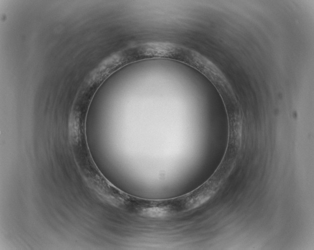 X0000086070312200703231314