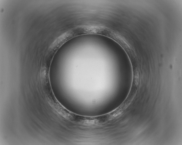 X0000086070314200703231314