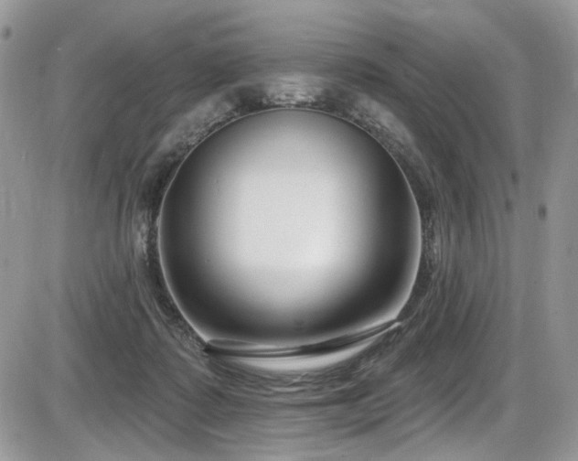 X0000086070315200703231314