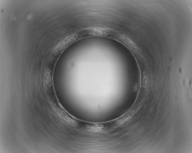 X0000086070318200703231314