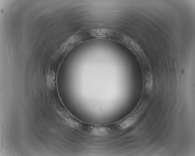 X0000086070332200703231314