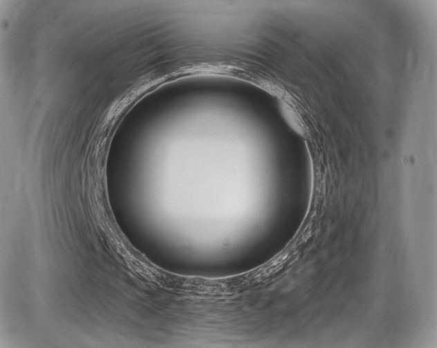X0000086070337200703231313