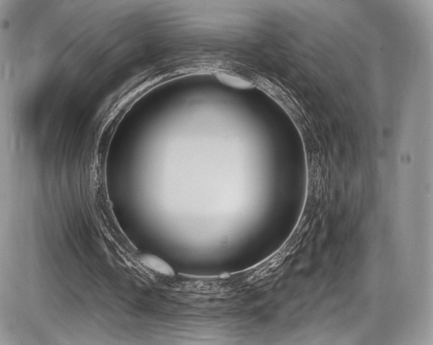 X0000086070338200703231313