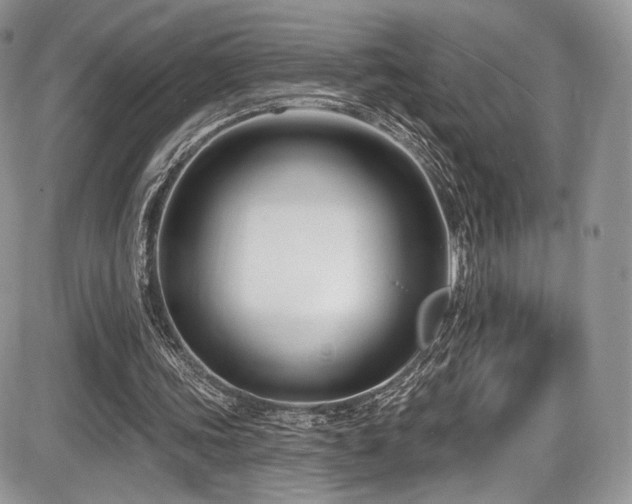 X0000086070339200703231313