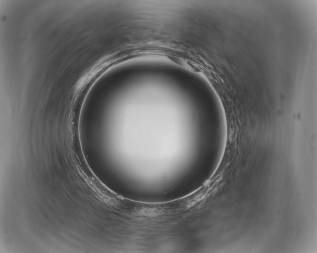 X0000086070341200703231313