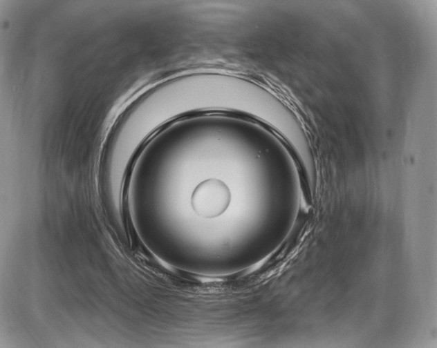 X0000086070344200703231313