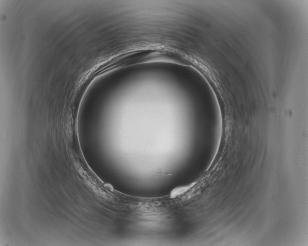 X0000086070345200703231313