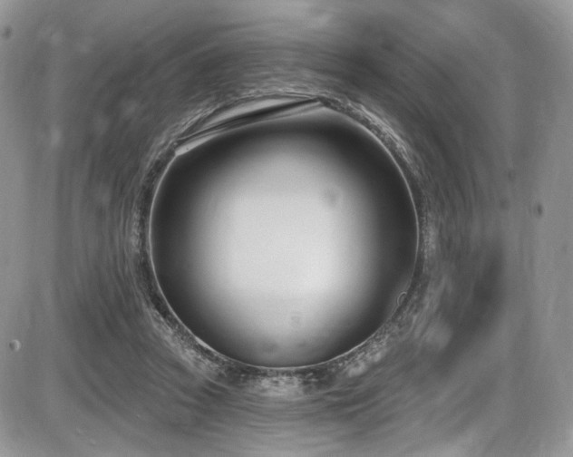 X0000086070353200703231313