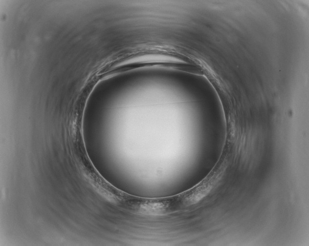 X0000086070357200703231313