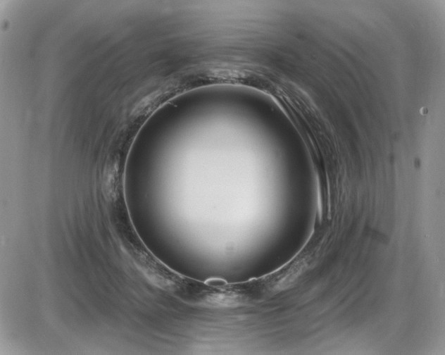X0000086070364200703231313