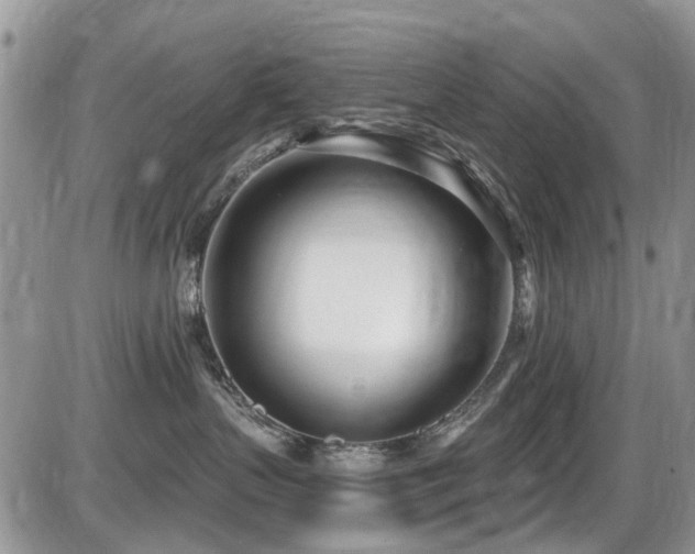X0000086070383200703231314