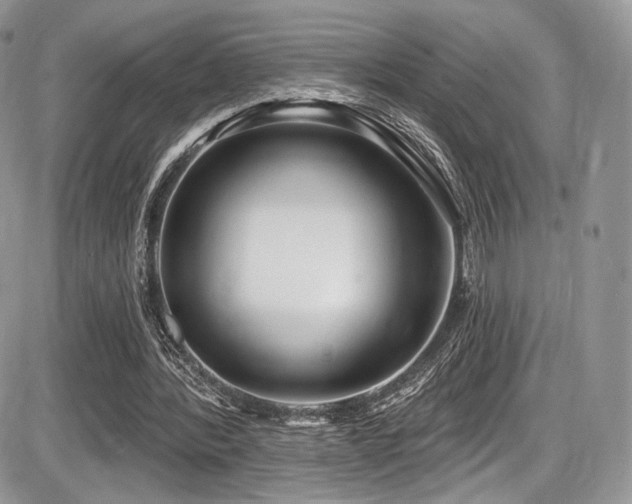X0000086070388200703231313
