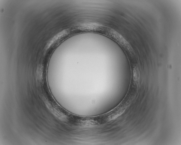 X0000086070396200703231313
