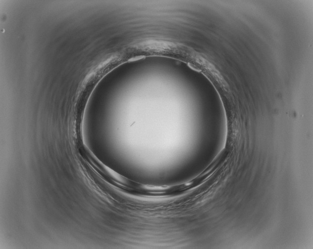 X0000086070399200703231313