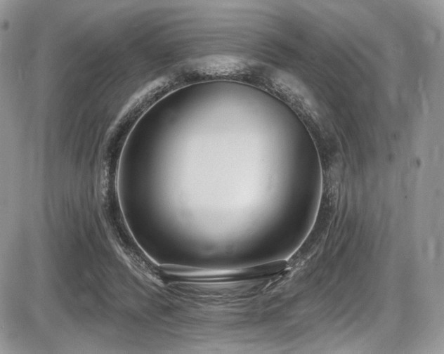 X0000086070400200703231313
