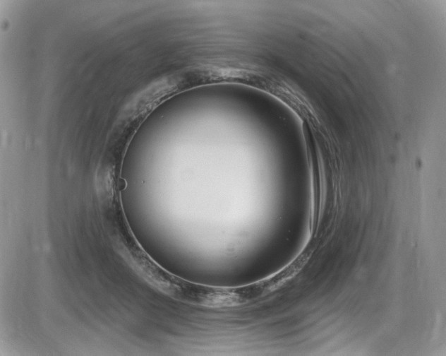 X0000086070410200703231312