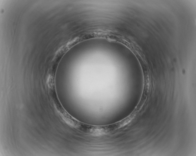 X0000086070419200703231312