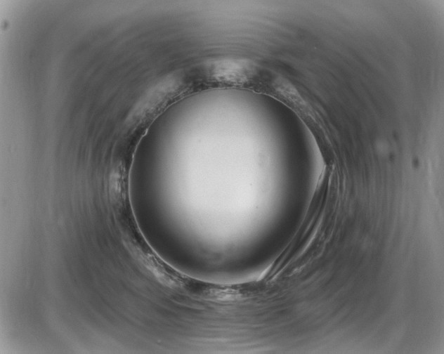 X0000086070424200703231312