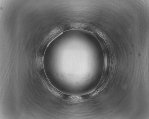 X0000086070429200703231312