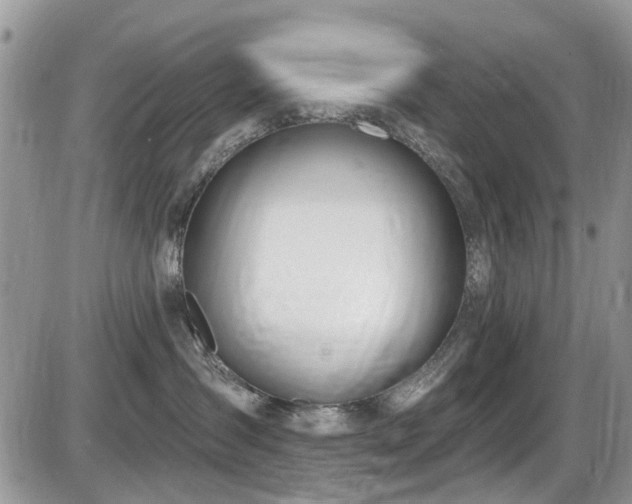 X0000086070431200703231312