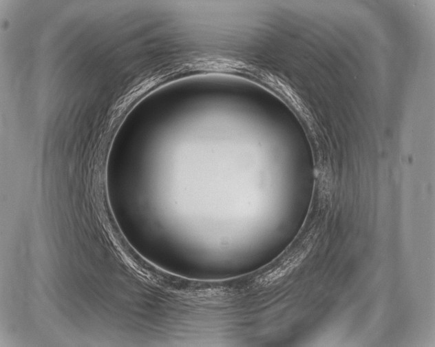 X0000086070433200703231311