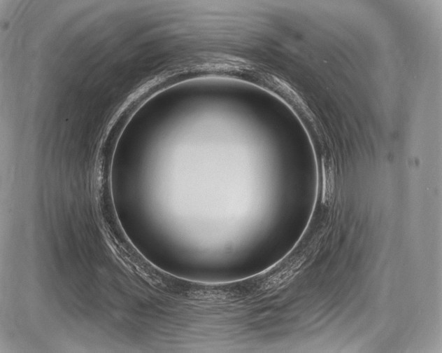 X0000086070435200703231311