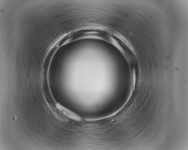 X0000086070436200703231311