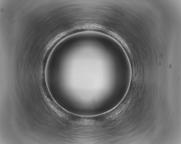 X0000086070437200703231311