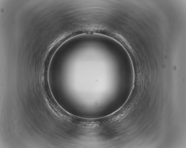 X0000086070443200703231311