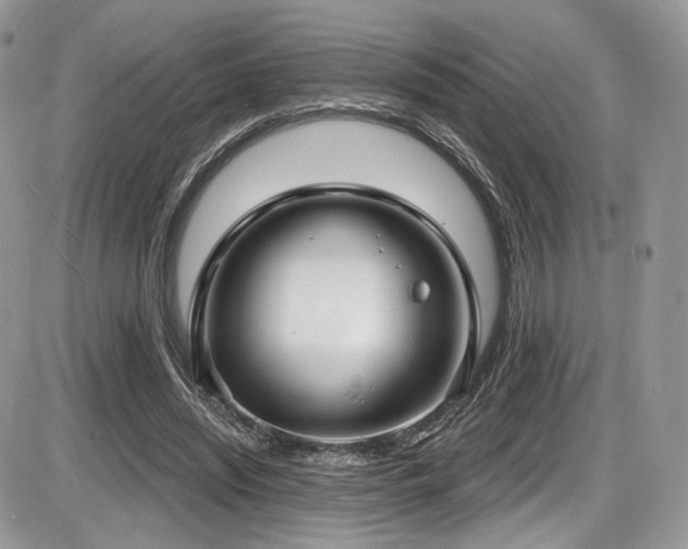 X0000086070444200703231311
