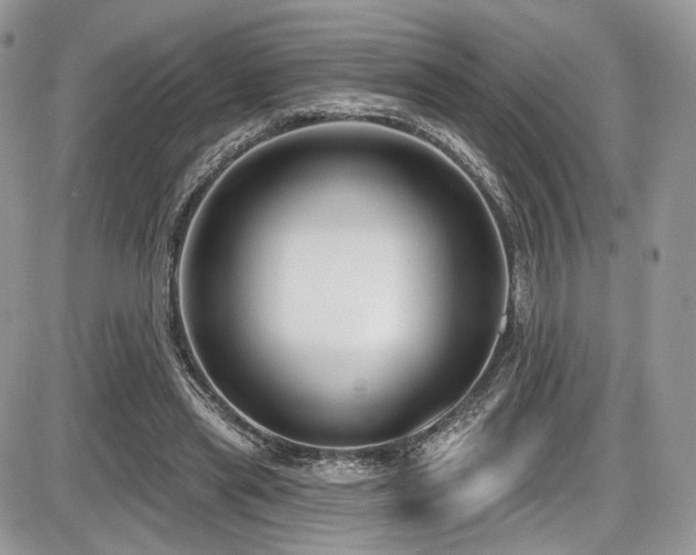 X0000086070445200703231311