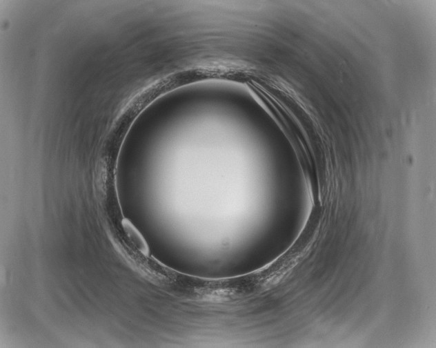 X0000086070448200703231312