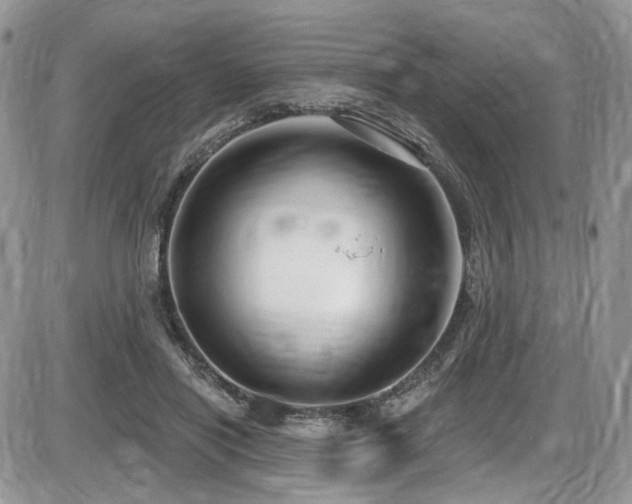 X0000086070454200703231312