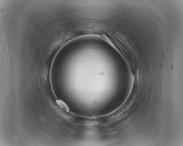 X0000086070458200703231312