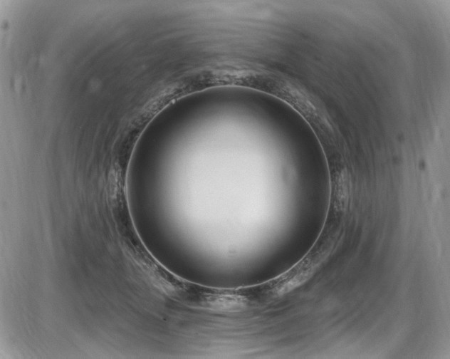 X0000086070463200703231312