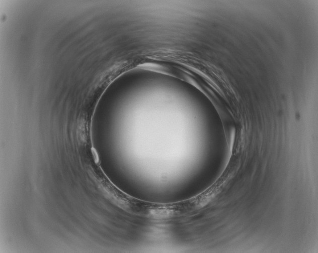 X0000086070470200703231312