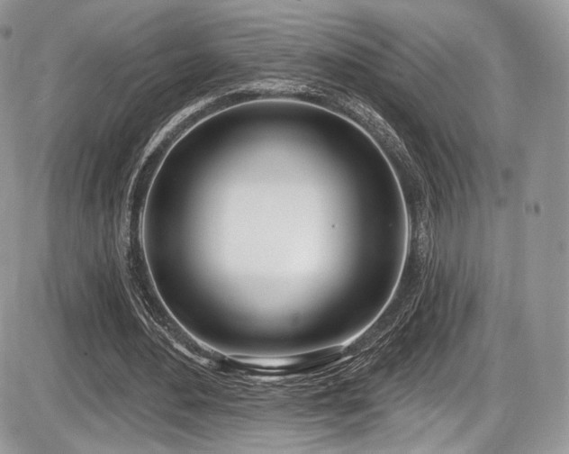 X0000086070484200703231311