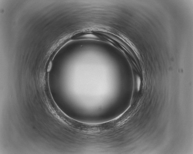 X0000086070485200703231311