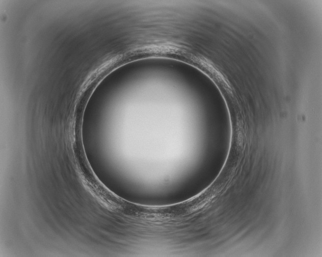 X0000086070486200703231311