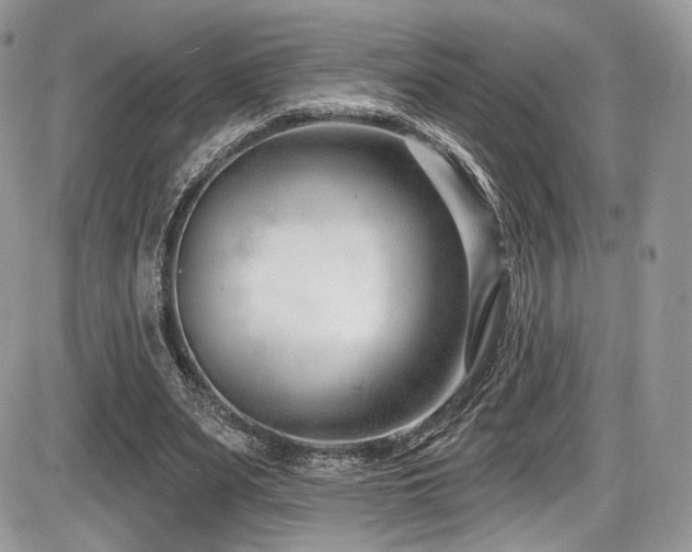 X0000086070487200703231311